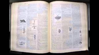 Anémophilie  Dictionnaire français audio [upl. by Joyce]