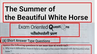 The Summer of the Beautiful White Horse Short Answer type Question  Class 11th English [upl. by Ahsieit726]