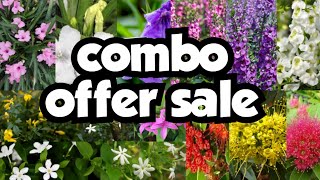 combo offer saleSeras gardens120624 [upl. by Redman]