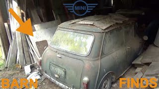 Episode 6 BARN FINDS  TWO Minis in a shed for OVER 20 years [upl. by Euqnom]