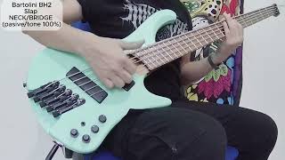 Ibanez EHB 1005MS  Bartolini BH2 VS Nordstrand Big Split 5 Pickup comparison NO TALKING [upl. by Llehsad]