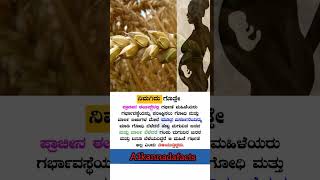 Kannada facts 🧠 kannadafacts factsinkannada love motivation kannadafactschannel [upl. by Zela148]