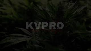 KVPRD x NINHO  FreeStyleGénération REMIXREGGAESIMPLE🔯🎶🍁 [upl. by Iliram]