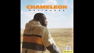 Daliwonga  Chameleon Album Mix By DjAfrotime [upl. by Good]