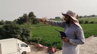 Agriculture Drone Spray  Kmad ko kn c Bemari lagi Howe thi  agriculturdronespray youtubevideos [upl. by Asilaj]