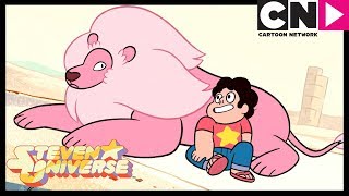 Steven Universe  Steven Finds Lion In The Desert  Stevens Lion  Cartoon Network [upl. by Ahsenom]