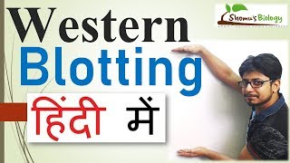 Western Blotting in Hindi [upl. by Horan]