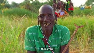 Rangeland restoration through community engagement in Kenya [upl. by Eidob]