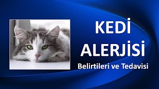 KEDİ ALERJİSİ Nedenleri ve Tedavisi [upl. by Aneerbas]