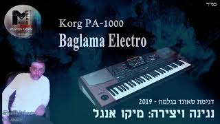 Korg pa1000 Baglama Electro [upl. by Rebmac]