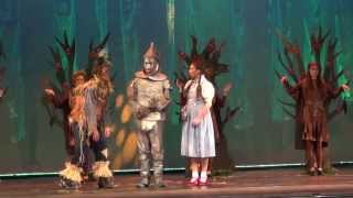 Tin Man Scene  The Wizard of Oz [upl. by Hestia]