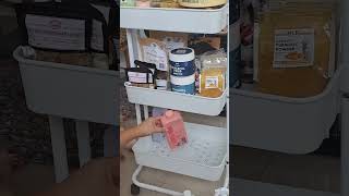 Organizing our dogs supplies and essentials 🍀🐾💚 dogsofyoutube dogsofshorts Maltese ShihTzu dog [upl. by Handy]