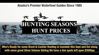 Cold Bay Alaska Duck hunting season dates and Sea duck hunting prices [upl. by Accissej]