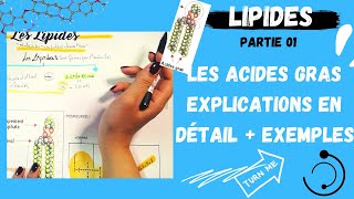 📣1 Les Lipides Partie1 Les Acides Gras explication en détail  des exemplesاقوى مراجعة لللبيدات [upl. by Mastrianni]