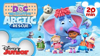 Arctic Rescue  20 Minute Compilation  Doc McStuffins  disneyjr [upl. by Yenffit]