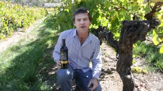 Barossa Rare amp Distinguished Langmeil Wines [upl. by Ty386]