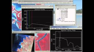 Assessing Spectral Signatures in ENVI Classic [upl. by Attwood16]