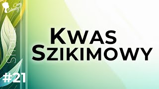 KWAS SZIKIMOWY  ŚWIETNA ALTERNATYWA DLA KWASU SALICYLOWGO [upl. by Florance]