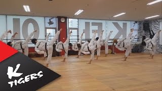 Ktigers practicing Koryeo poomsae K타이거즈 고려품새 연습 [upl. by Forcier]