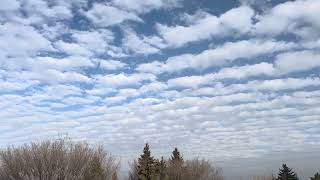 CUMULUS STRATUs CIRRUS CLOUDS  Hello to everyone [upl. by Nayd]