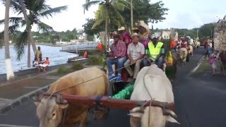 parade en charrette 2016 à MOULE 2 [upl. by Tammi474]