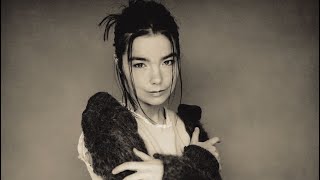 Bjork  Human Behaviour 19932021 [upl. by Ahsiekel665]