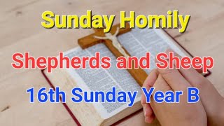 Sunday Homily  16 Sunday Year B  Mk 63034  Shepherds and Sheep  Good and Bad Shepherds [upl. by Zanahs]