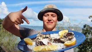 EP 10  RAW vs GOURMET  How to make OYSTERS taste good  Catch n Fry [upl. by Kaylyn769]