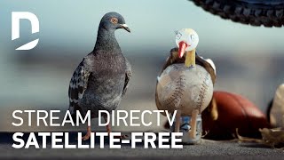 DIRECTV  For The Birds  Girlfriend 30 [upl. by Yonah]