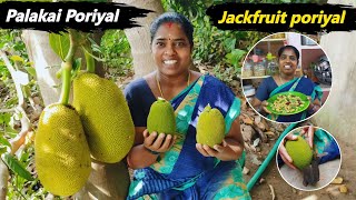 💥Jackfruit 🤤  பலாக்காய் பொரியல் செய்வது எப்படி  tsfamily373 food trending shortsvideo shorts [upl. by Walburga]