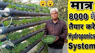 सिर्फ 8000₹ में छत पर तैयार करे इतना बड़ा Hydroponics system और तोड़े बहुत सारी सब्जिया। [upl. by Maidel]