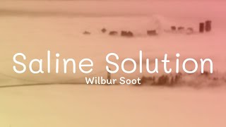 Wilbur Soot  Saline Solution Lyrics [upl. by Tterb]