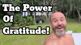 The Power Of Gratitude family diyhomestead chicken fun garden [upl. by Linzer]