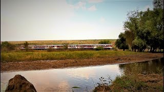 TFG Regio Train Galati  Targu Bujor  Barlad September 2018 [upl. by Enellek865]