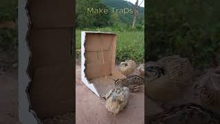 Easy Underground Bird Trap  shorts  Make Traps [upl. by Nashoma634]