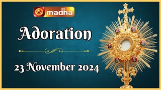 🔴 LIVE 23 November 2024 Adoration 1100 AM  Madha TV [upl. by Nodababus]