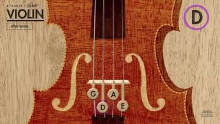 Violin Tuner GDAE in A 440Hz [upl. by Englis90]