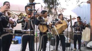 MARIACHI MOYA INTERPRETANDO LA REATA DE CHAVINDA MICHOACAN [upl. by Badger]