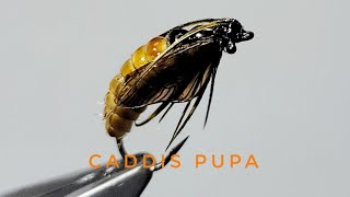 The Ultimate October Caddis Pupa Fly Tying Tutorial [upl. by Emawk885]