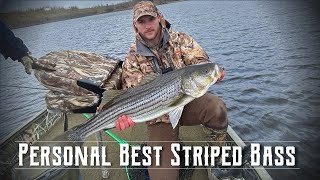 Spring Fishing Striped Bass  Miramichi River [upl. by Ringe193]