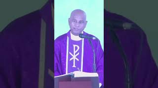 Joy of Giving  Daily Reflections  2 Nov 2024 shorts power healing stfrancisxavier [upl. by Van]