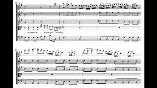 Antonio Vivaldi  Sovente il sole  The Shanghai Camerata and Meili Li  score animation [upl. by Enajyram]