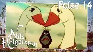 Nils Holgersson 🌱 Folge 14 Die Wetterhexe 🌱 Die KlassikSerie [upl. by Iveson45]