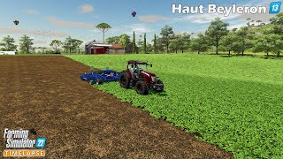 Discing Oilseed Radish Field Sowing Grass amp Oat Rolling🔸Farming Simulator 22🔸HautBeyleron 13🔸4K [upl. by O'Connor660]