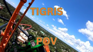 Tigris POV At Busch Gardens Tampa Bay [upl. by Umeko]