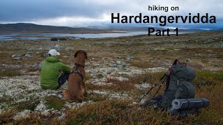 Hiking on Hardangervidda  8day round trip with dog  Part 1 [upl. by Aropizt]