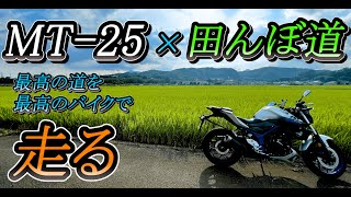 【MT25】MT25で田んぼ道走ったら最高すぎた！ [upl. by Ludovika]