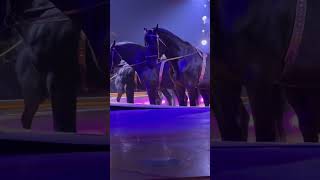 Pferdeshow Circus Krone ​⁠​⁠Bad Kissingen Show vielen Dank Hubert Fella [upl. by Natsyrt]