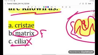 Q3 Cytology ha [upl. by Pattie]