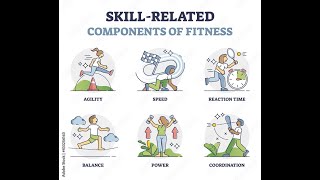 What are the Skill Related Fitness Components [upl. by Annaigroeg351]